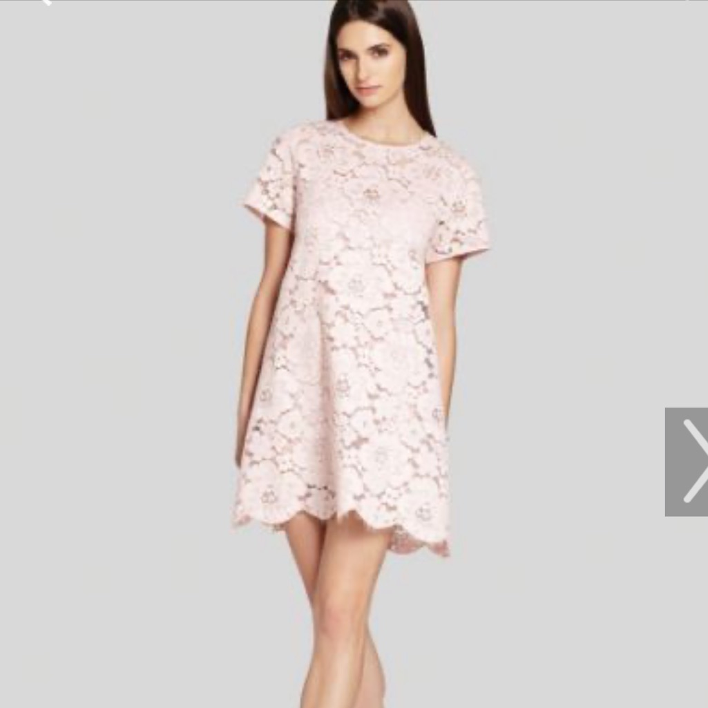 Bcbg Pink Lace Swing Dress With Slip- Beautiful!